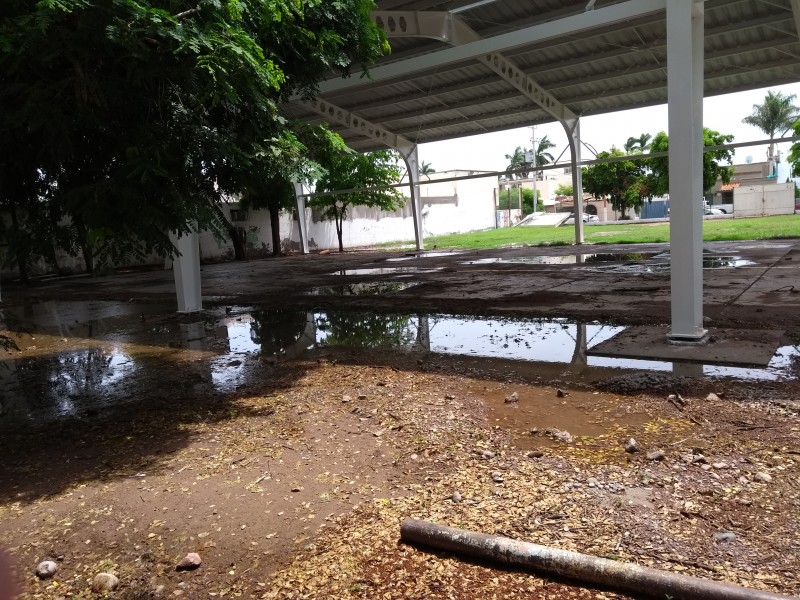 Ausentismo en escuelas por lluvias