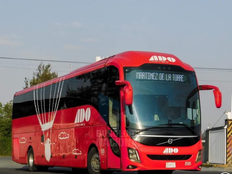 Autobuses de pasaje se enfrentan a inseguridad y carreteras deterioradas