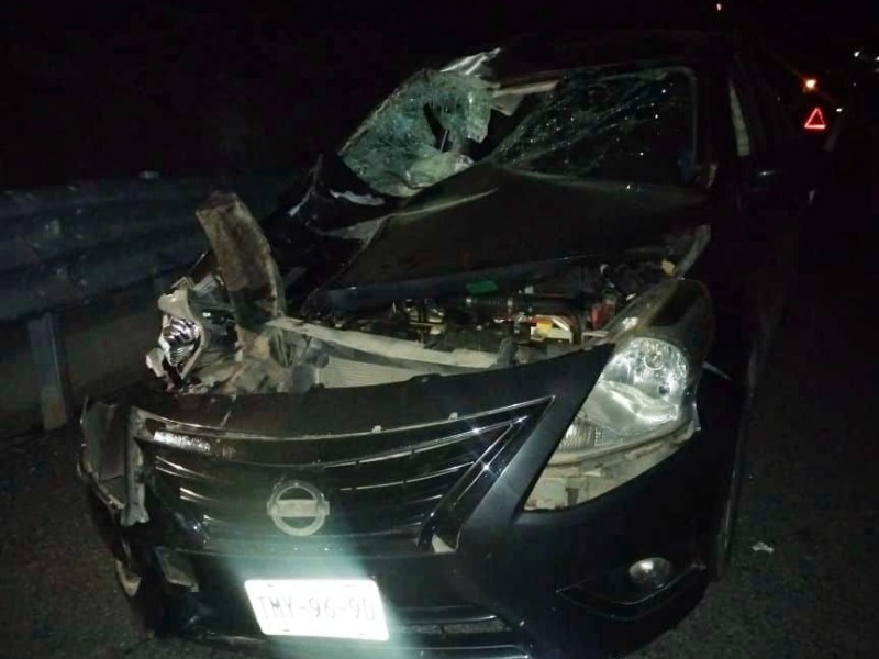 Automóvil se impacta contra toro en autopista Barranca Larga- Ventanilla