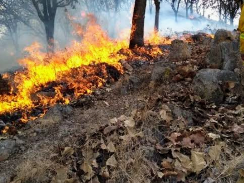 Autoridades atadas de manos para expropiar La Primavera