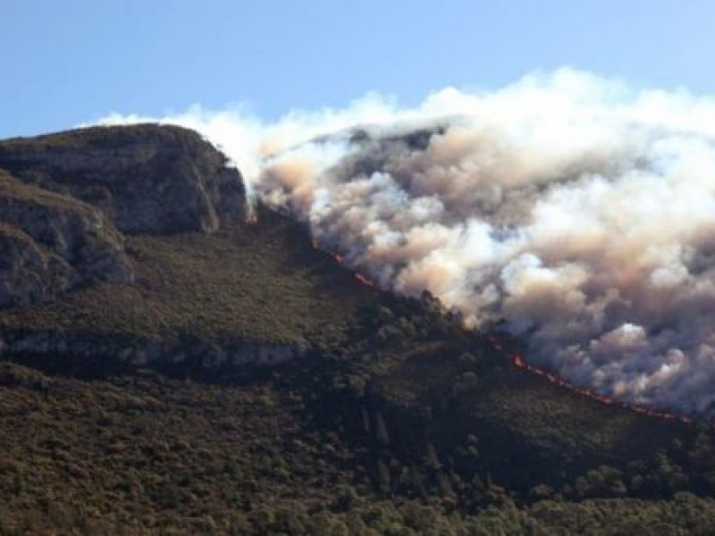 Autoridades combaten incendio forestal en Coahuila y Nuevo León