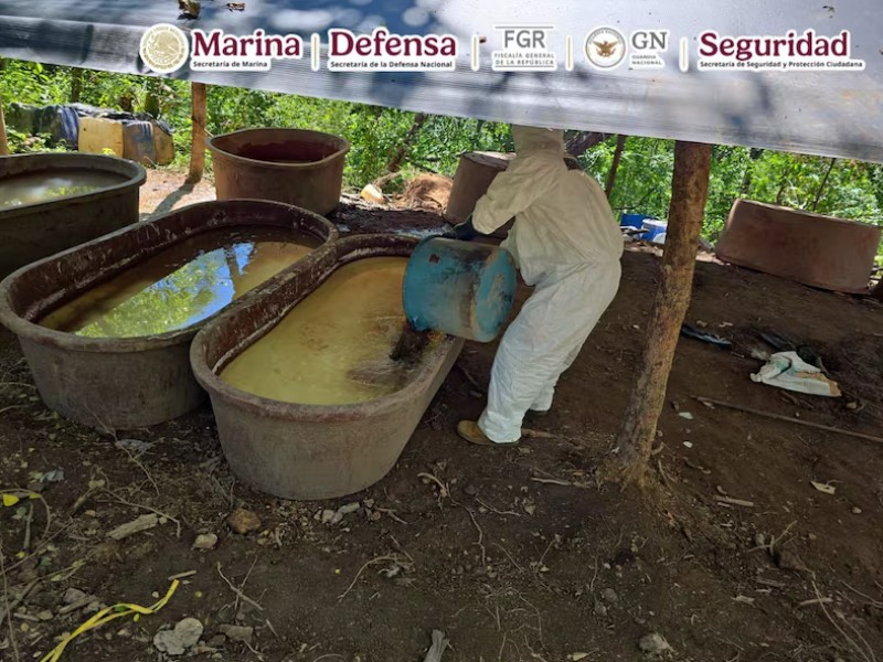 Autoridades decomisan 21 toneladas de droga en Durango