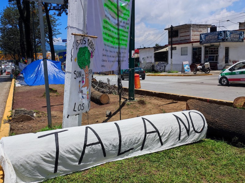 'Autoridades desacataron amparo para construir puente en Lázaro Cárdenas': Ambientalistas