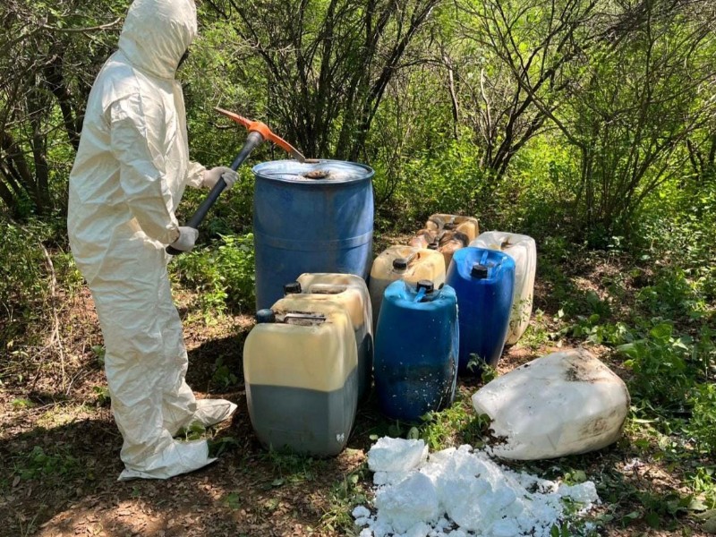 Autoridades destruyen 16 áreas de elaboración de drogas en Sinaloa