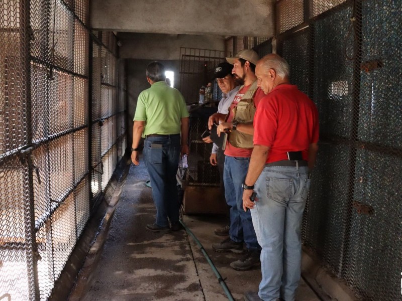 Autoridades evalúan impacto ambiental en el Zoo Morelia
