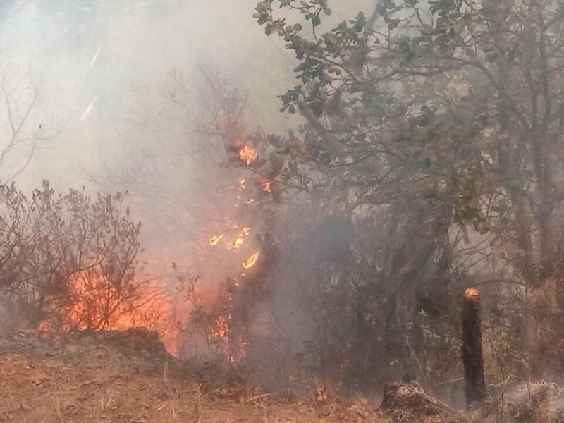 Autoridades llaman a prevenir incendios forestales