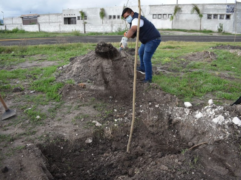 Autoridades municipales siguen reforestando Pedro Escobedo