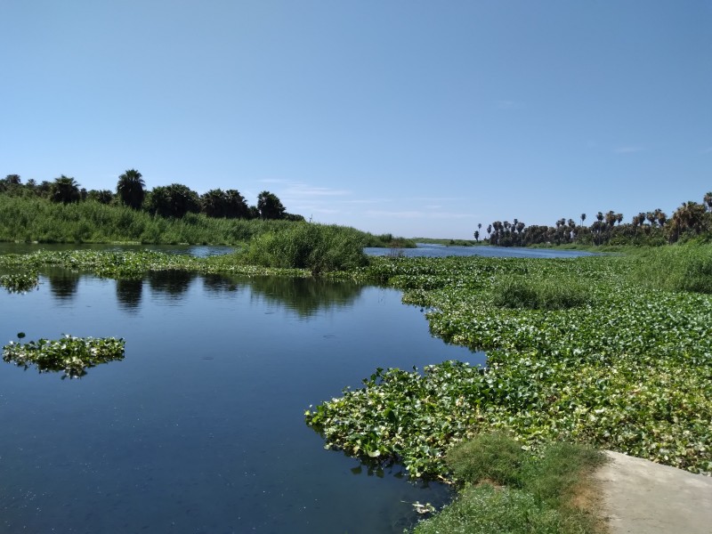 Autoridades realizarán muestreo de agua en el Estero para diagnóstico