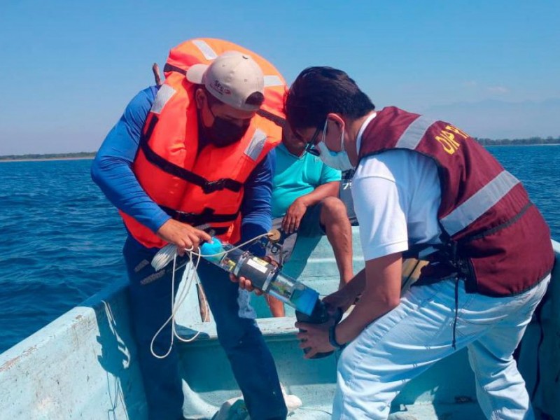 Playas de Chiapas aptas. No hay indicios de marea roja