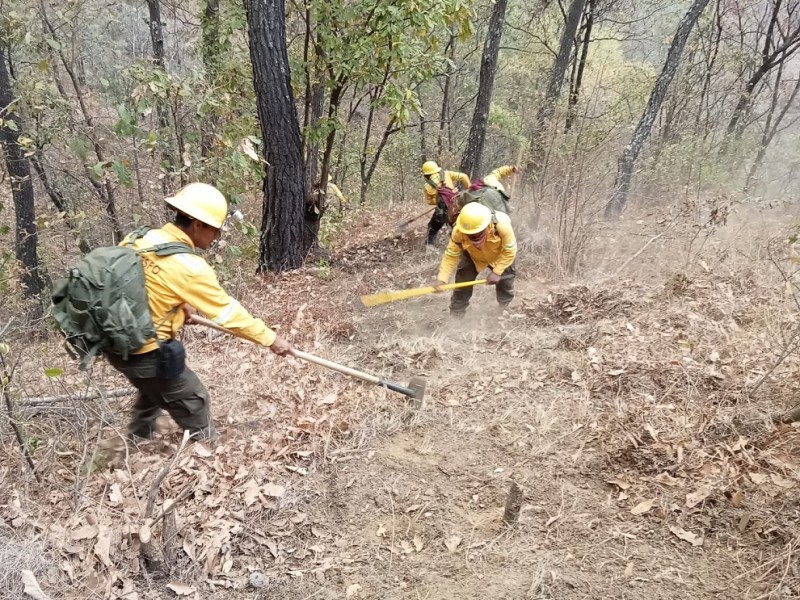 Autoriza Gobierno Federal ayuda extraordinaria para incendios en los Chimalapas