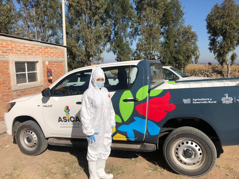 Autorizan dosis contra la influenza aviar para Jalisco