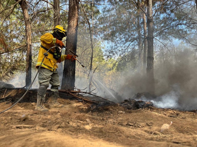 Avala Frangie invertir más para el combate de incendios