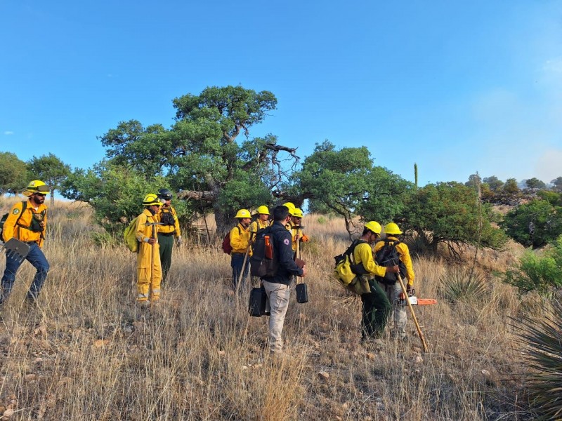 Avanza combate de incendio en Imuris