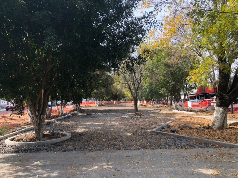 Avanza construcción del Parque Lineal en Boulevard García de León