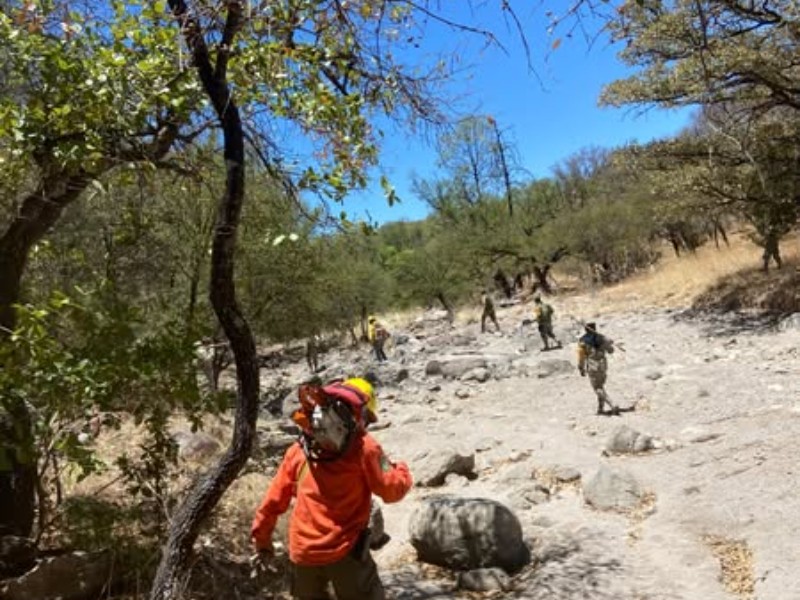 Avanza control de incendios forestales en Yécora y Nácori