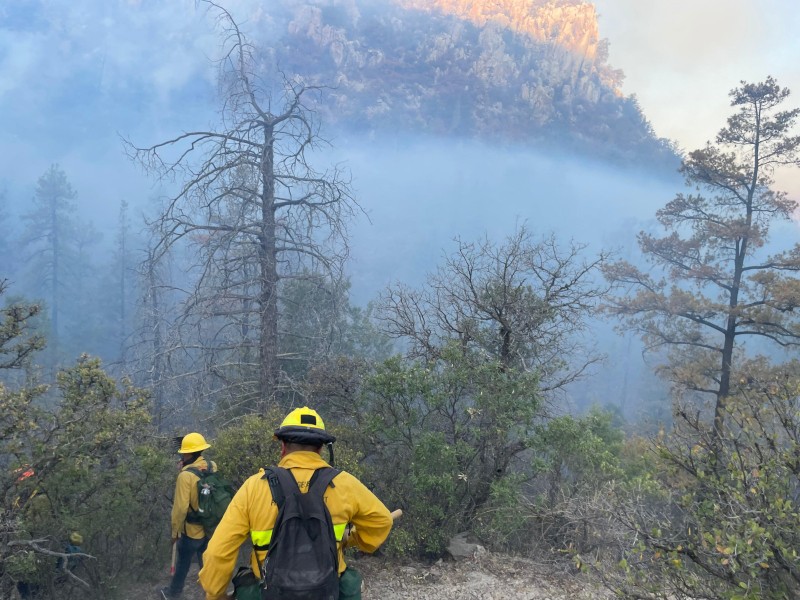 Avanza control del incendio forestal en Agua Prieta