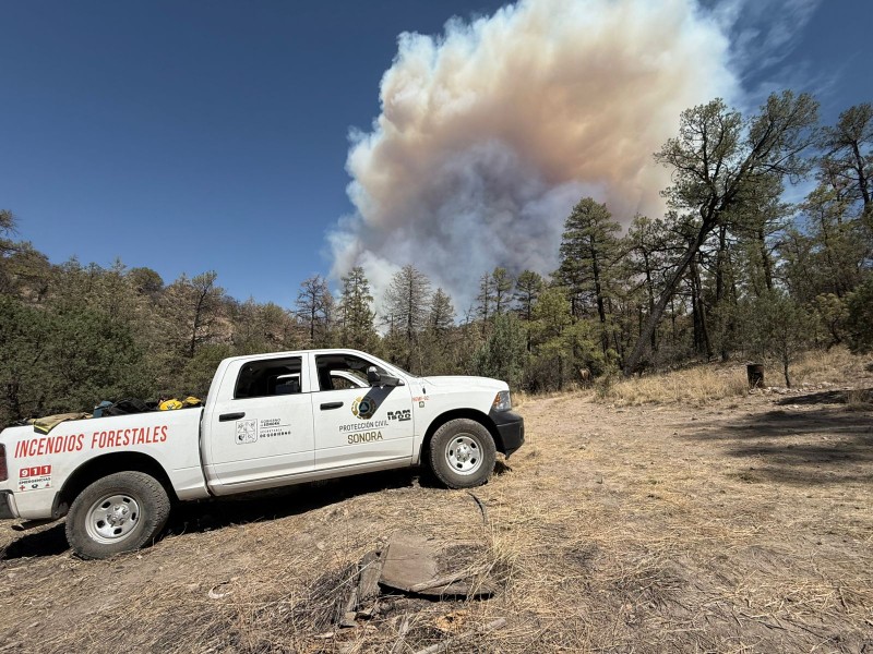 Avanza control y liquidación del incendio forestal en Agua Prieta