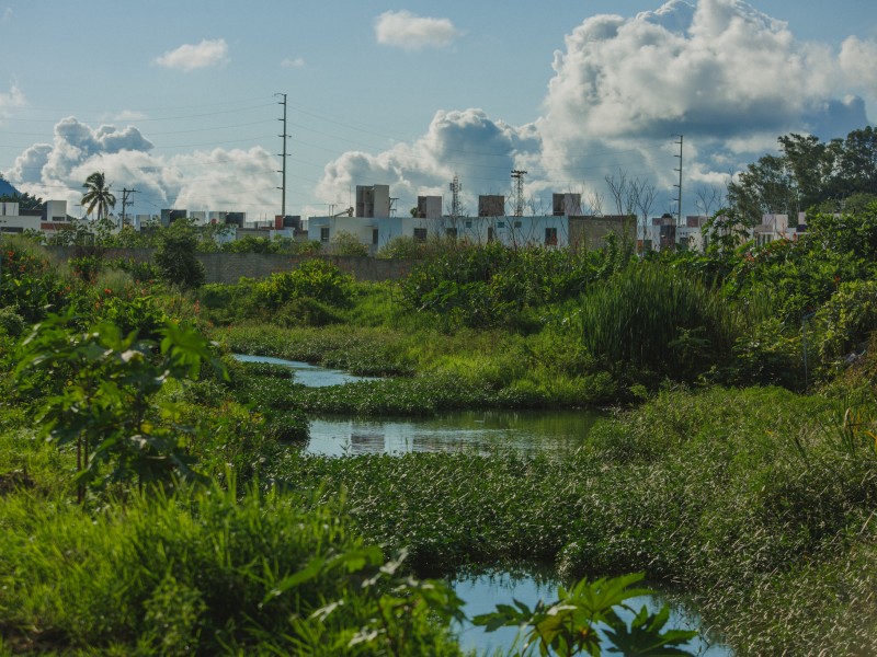 Avanza declaración de área natural protegida del río Mololoa