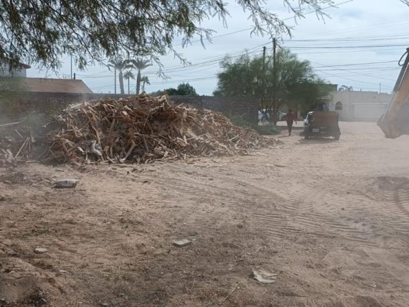 Avanza Desarrollo Urbano en pintado de cruces peatonales