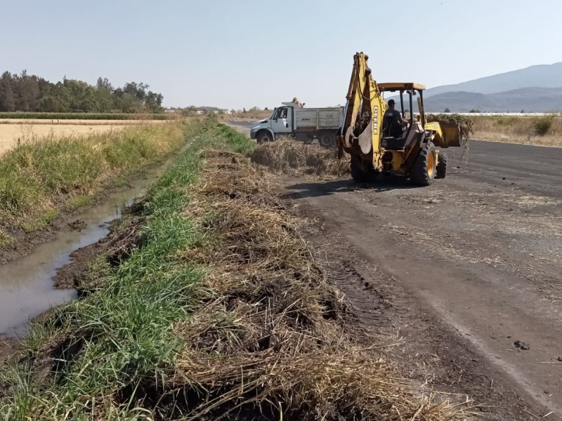 Avanza desazolve de canales de riego en Zamora
