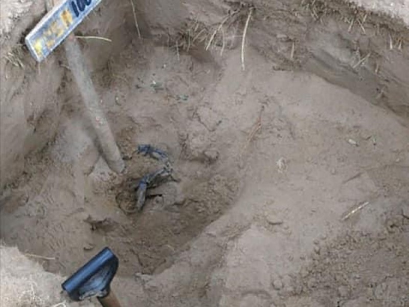 Avanza identificación de restos encontrados en Veracruz