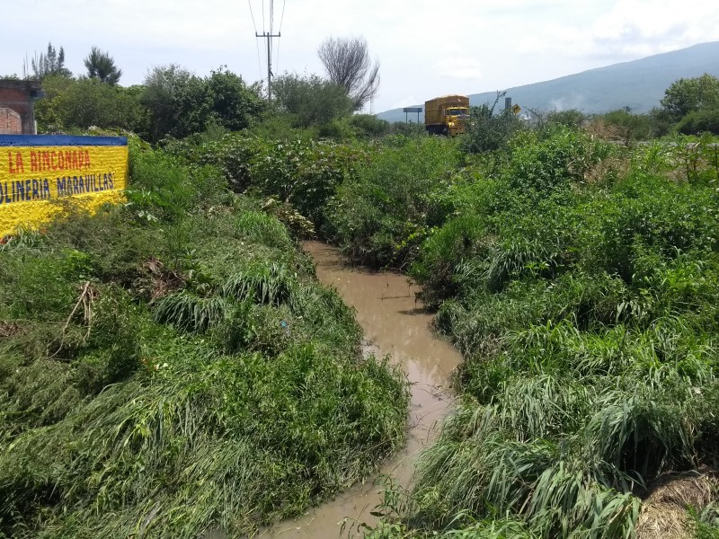 Avanza limpieza de canales y drenes en Zamora