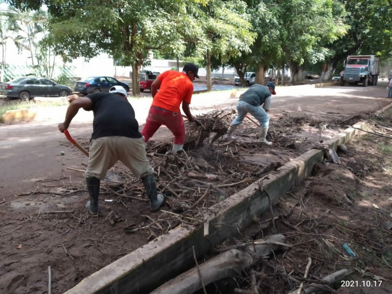 Avanza limpieza y sanitización en Tuxpan