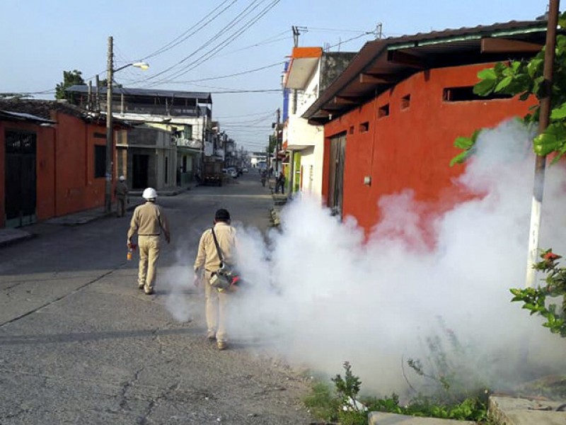 Avanza programa contra enfermedades transmitidas por vector en Tapachula