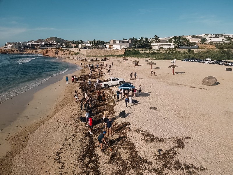 Avanza Zofemat con limpieza de playas y reparación de daños por 