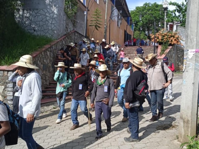 Avanzan peregrinos a la Basílica de Guadalupe
