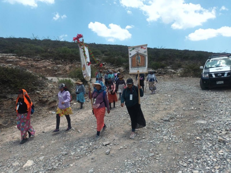 Avanzan peregrinos en el Semidesierto