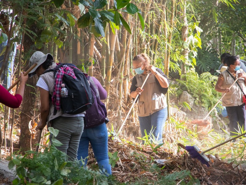 Avanzan trabajos de limpieza de colonias vulnerables en Poza Rica