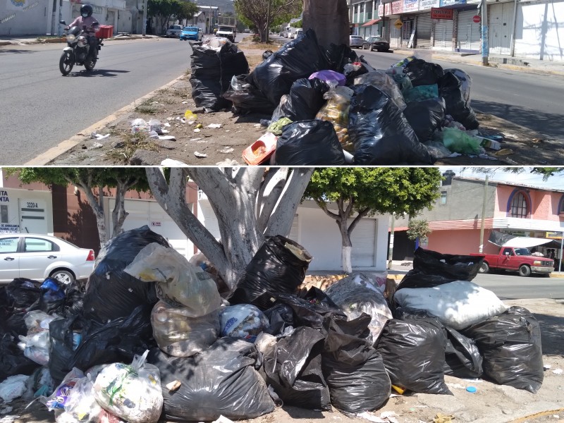 Avenida Baja California punto constante de acumulación de basura