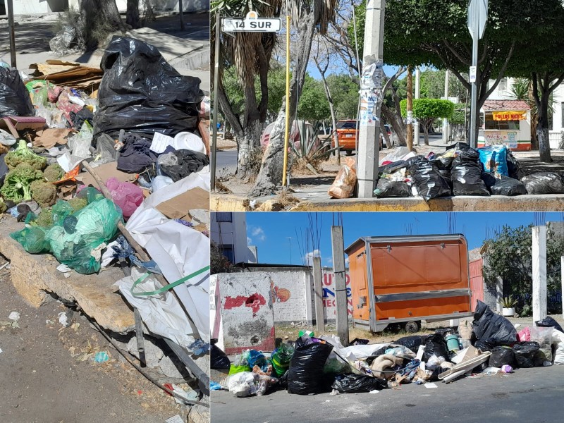 Avenida del Maestro e infonavit con montones de basura