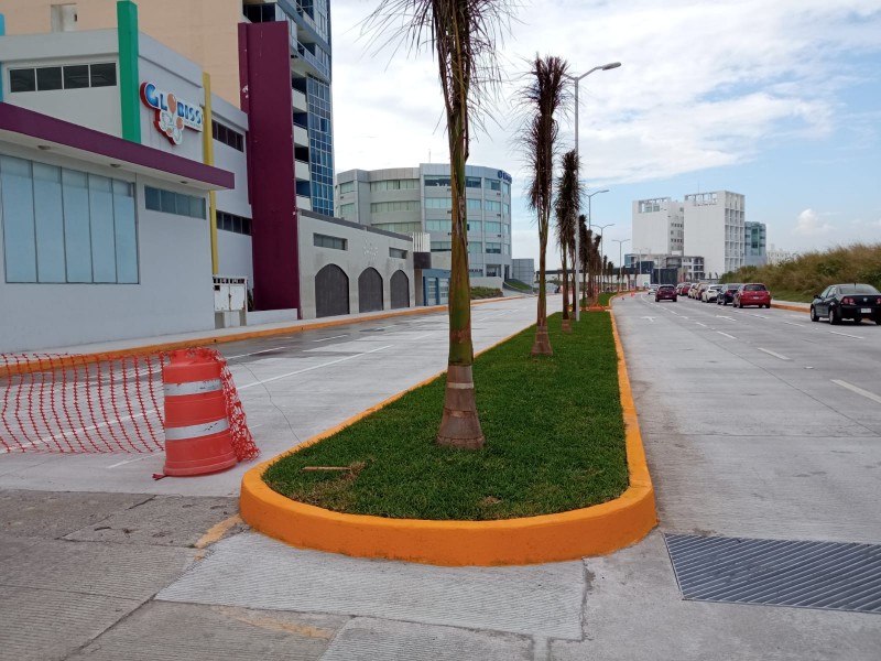 Avenida Juan Pablo Segundo será rehabilitada por completo: Alcalde