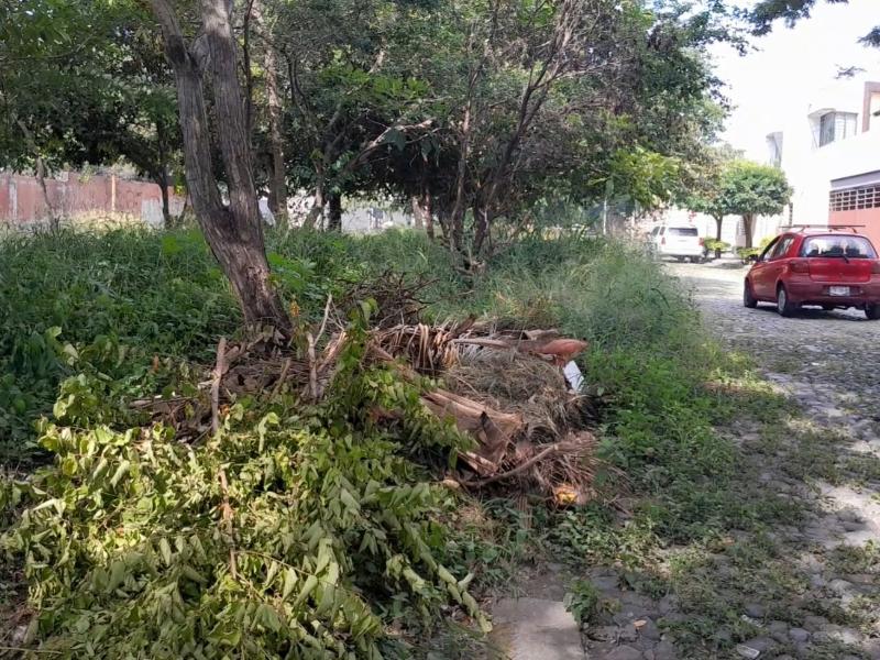 Avenida Tecomán suma años sin mantenimiento por el Ayuntamiento de Colima
