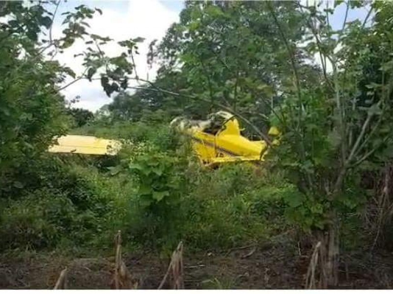 Avioneta fumigadora se desplomó