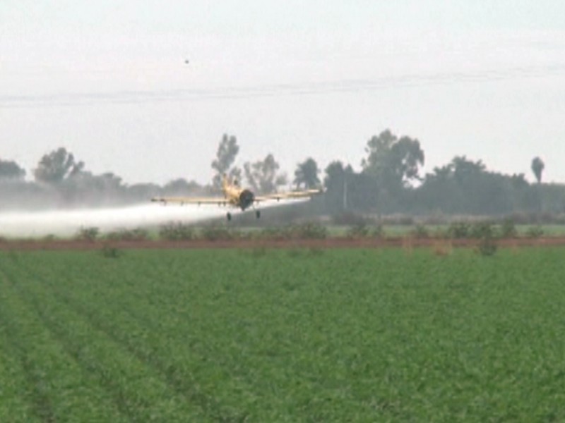 Avionetas fumigadoras recibirán sanciones por parte de Aeronáutica civil