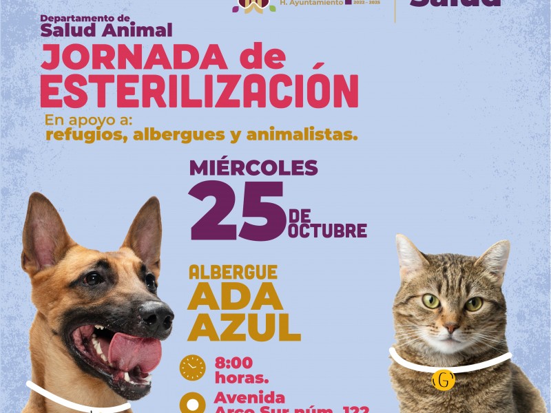 Ayuntamiento anuncia nueva jornada de esterilización felina y canina