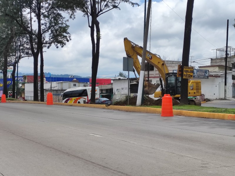 Ayuntamiento compensará derribo de árboles para puentes de Lázaro Cárdenas