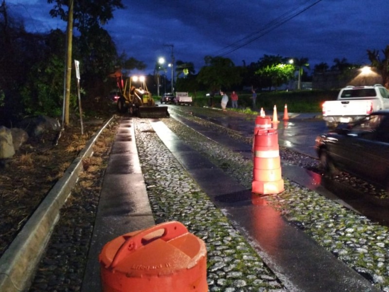 Ayuntamiento de Colima liberó vialidades obstruidas por árboles