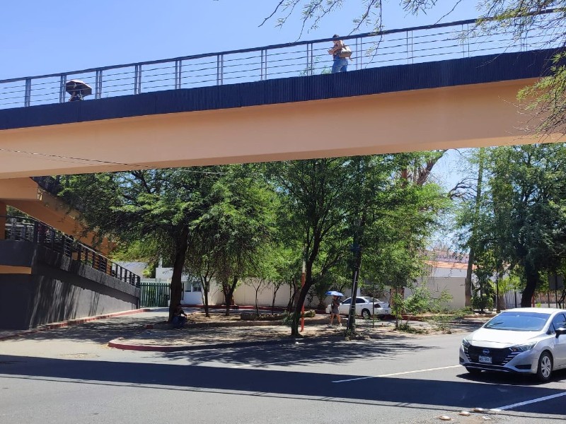 Ayuntamiento de Hermosillo analizará propuestas sobre cruce peatonal