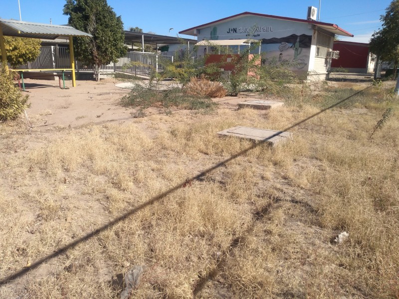 Ayuntamiento y regidores rescatarán árboles en escuelas pública de Hermosillo