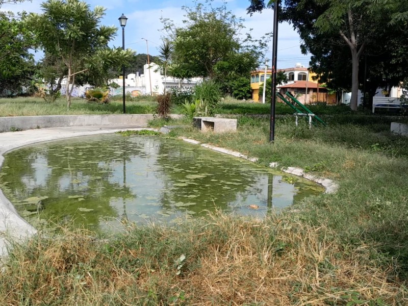Ayuntamiento de la Villa abandona jardín de la colonia Los Triángulos