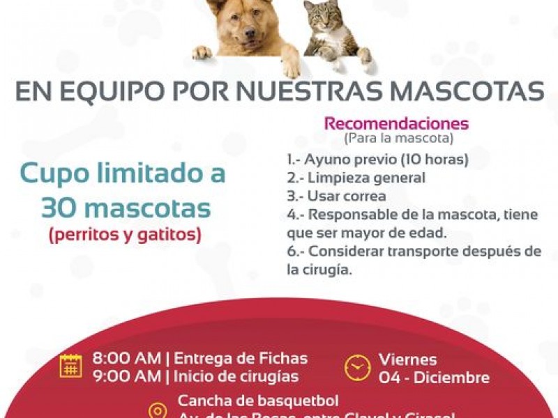 Ayuntamiento de Tepic esterilizará mascotas en colonia El Ocho