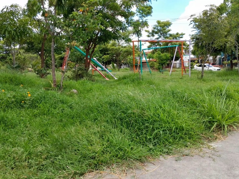 Ayuntamiento de Villa de Álvarez abandona jardín de Jardines de Bugambilias