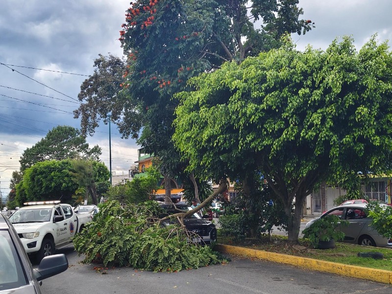 Ayuntamiento de Xalapa apoyará a propietarios de vehículos dañados por el norte Ayuntamiento de Xalapa apoyará a propietarios de vehículos dañados por el norte