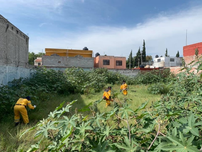 Ayuntamiento limpiará predios baldíos