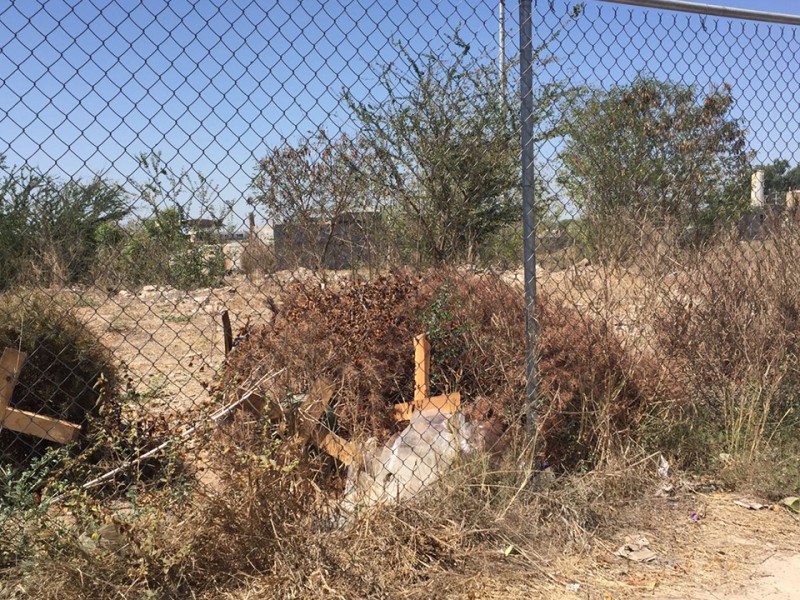 Ayuntamiento podrá multa a dueños de lotes baldíos