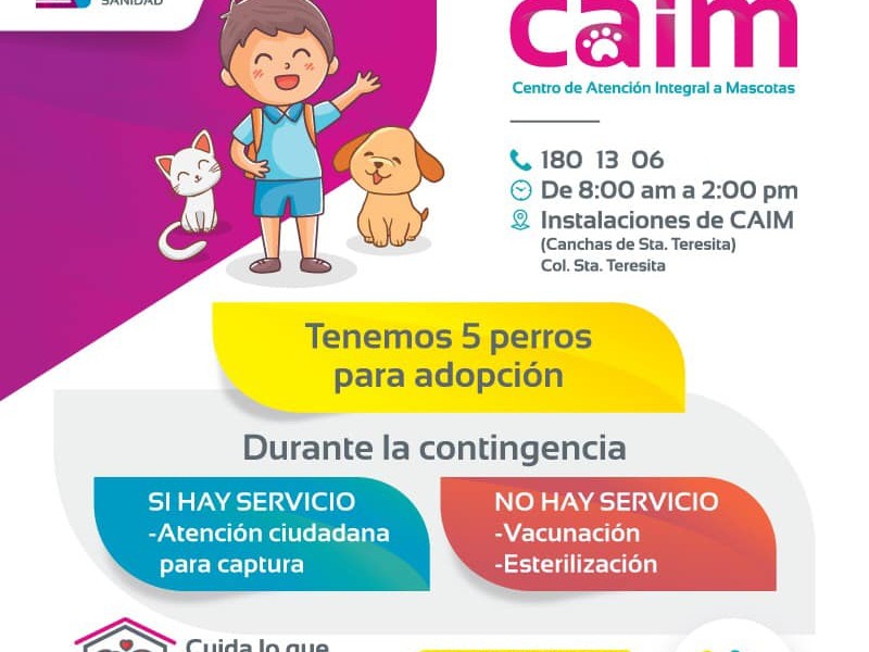 Ayuntamiento promueve la adopción de perros ante contingencia